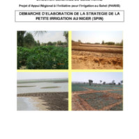 PARIIS Niger_Etude Démarche d_élaboration de la Stratégie de la Petite Irrigation.pdf