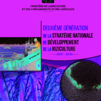 2eme Stratégie Nationale Développement Riziculture 2020-2030.pdf