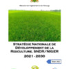 Strategie developpement riz Niger mars_2021.pdf