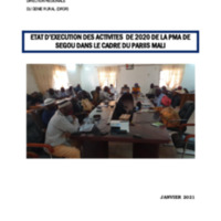 Rapport annuel PMA 2020 SEGOU.pdf