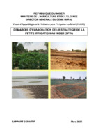 PARIIS Niger_Etude Démarche d_élaboration de la Stratégie de la Petite Irrigation.pdf