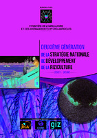 2eme Stratégie Nationale Développement Riziculture 2020-2030.pdf