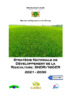 Strategie developpement riz Niger mars_2021.pdf