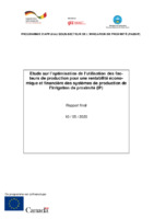 Rapport final E1_Optimisation_facteurs_production_27 août 2020 revu.pdf