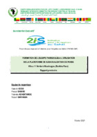 Rapport_provisoire_formation_outil-suivi-evaluatrion_PARIIS.pdf